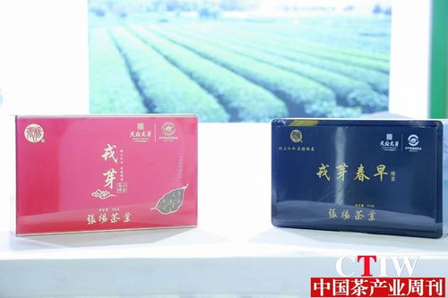 聚焦茶博會(huì) 第12屆四川國際茶博會(huì)品香茗賞雅器如火如荼，精制茶引領(lǐng)新風(fēng)尚